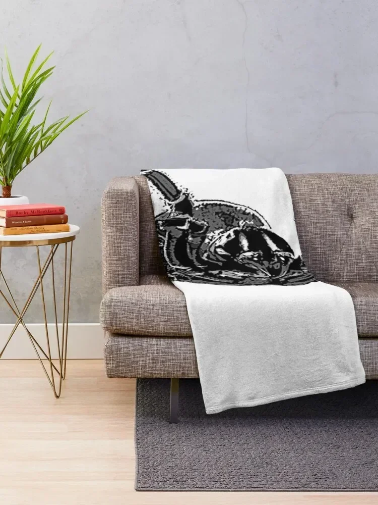 Creepy Funnel-Web Spider Throw - 3D Printing Web avis et prix