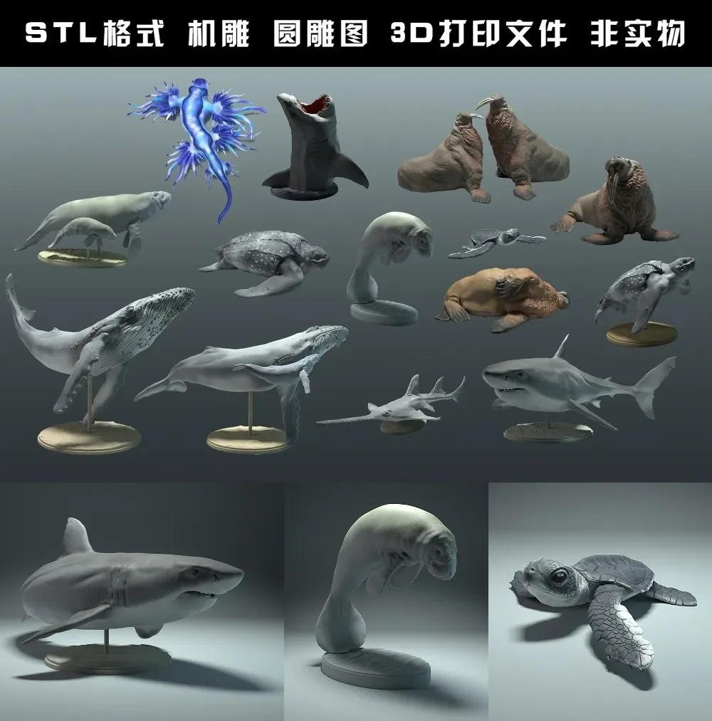 animals, polar bear, takin, wo - 3D Printing Rabbit avis et prix